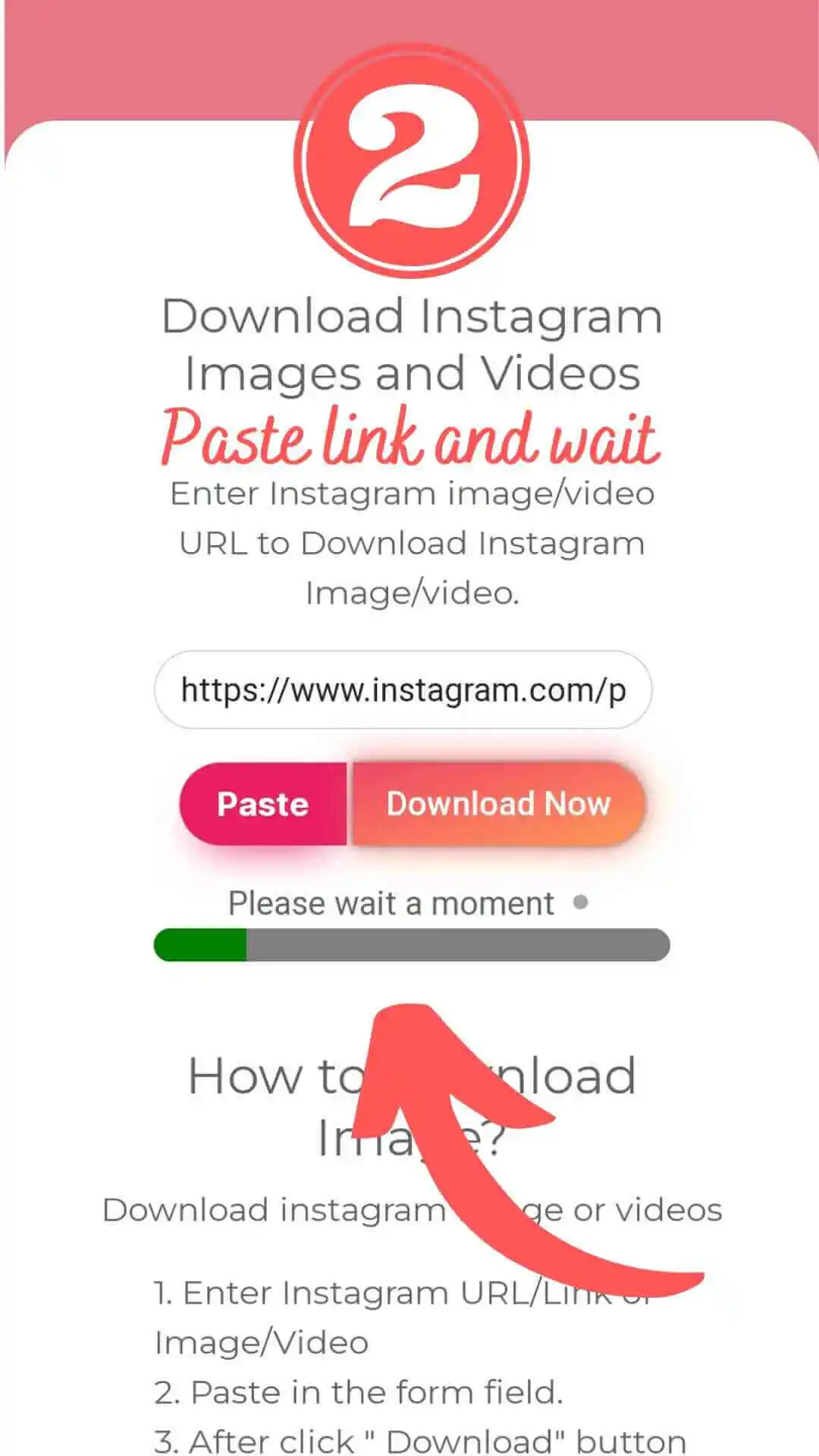 Step 2 to Download instagram video - paste link